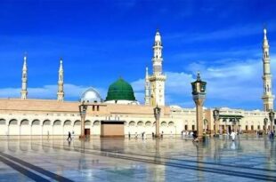 روضہ-رسول-صلی-اللہ-علیہ-وسلم-کا-ادب-اور-حاضری-کا-طریقہ.jpeg